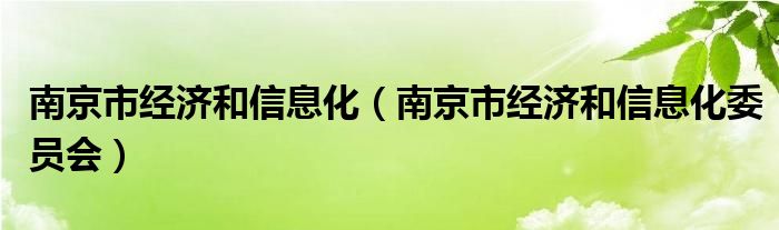 南京市经济和信息化委员会(南京市经济和信息化)