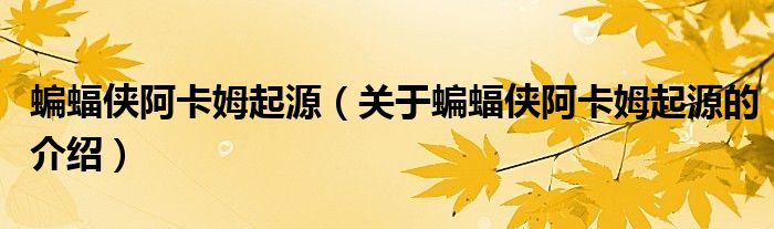 关于蝙蝠侠阿卡姆起源的介绍(蝙蝠侠阿卡姆起源)