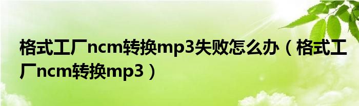 格式工厂ncm转换mp3(格式工厂ncm转换mp3失败怎么办)