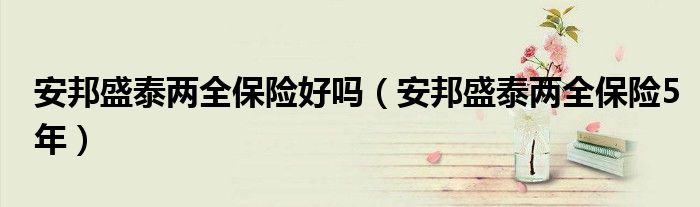 安邦盛泰两全保险5年(安邦盛泰两全保险好吗)