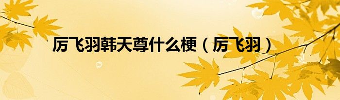 厉飞羽(厉飞羽韩天尊什么梗)