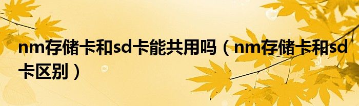 nm存储卡和sd卡区别(nm存储卡和sd卡能共用吗)