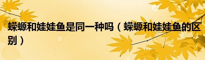蝾螈和娃娃鱼的区别(蝾螈和娃娃鱼是同一种吗)