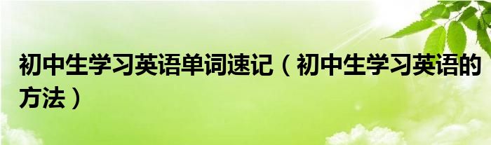 初中生学习英语的方法(初中生学习英语单词速记)