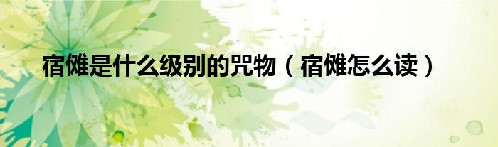 宿傩怎么读(宿傩是什么级别的咒物)