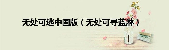 无处可寻蓝淋(无处可逃中国版)