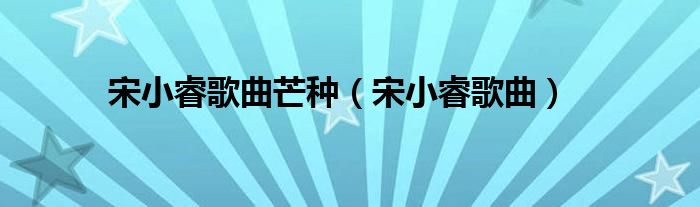 宋小睿歌曲(宋小睿歌曲芒种)
