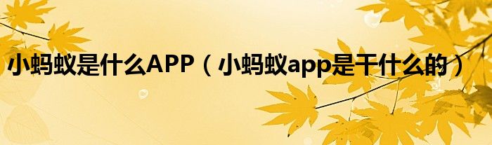小蚂蚁app是干什么的(小蚂蚁是什么APP)