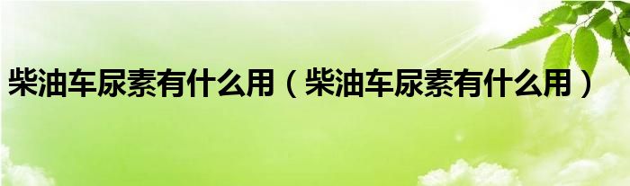 柴油车尿素有什么用(柴油车尿素有什么用)