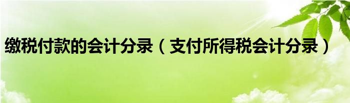 支付所得税会计分录(缴税付款的会计分录)