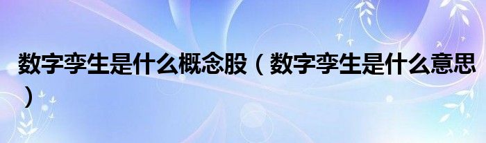 数字孪生是什么意思(数字孪生是什么概念股)