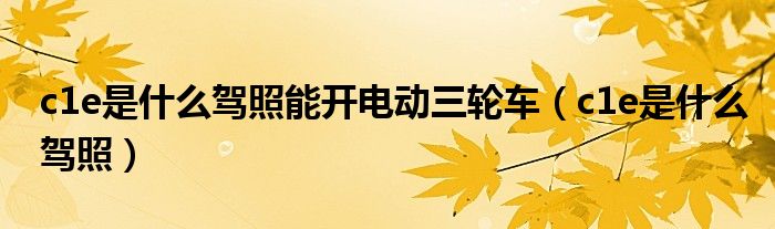 c1e是什么驾照(c1e是什么驾照能开电动三轮车)