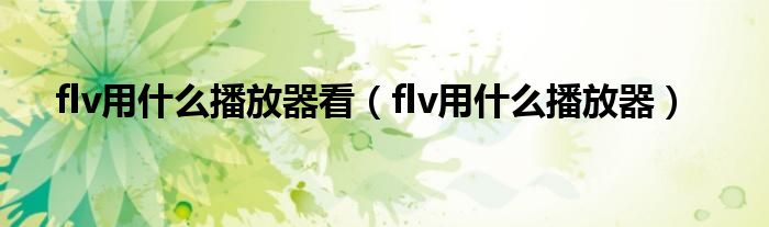 flv用什么播放器(flv用什么播放器看)