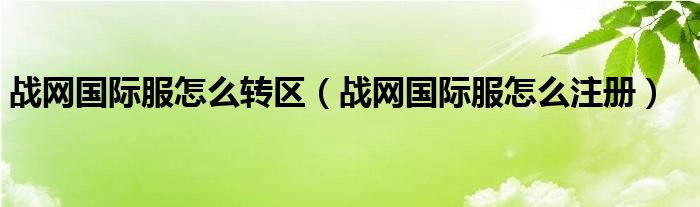 战网国际服怎么注册(战网国际服怎么转区)