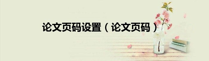 论文页码(论文页码设置)