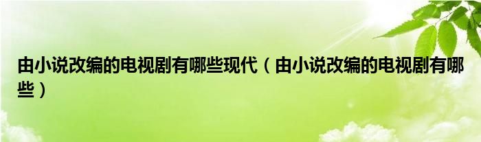 由小说改编的电视剧有哪些(由小说改编的电视剧有哪些现代)