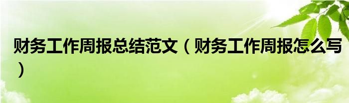 财务工作周报怎么写(财务工作周报总结范文)