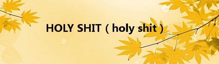 holy shit(HOLY SHIT)
