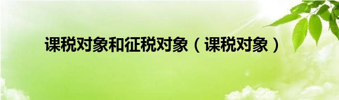 课税对象(课税对象和征税对象)