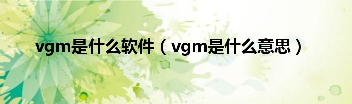 vgm是什么意思(vgm是什么软件)