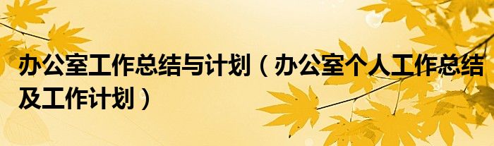 办公室个人工作总结及工作计划(办公室工作总结与计划)