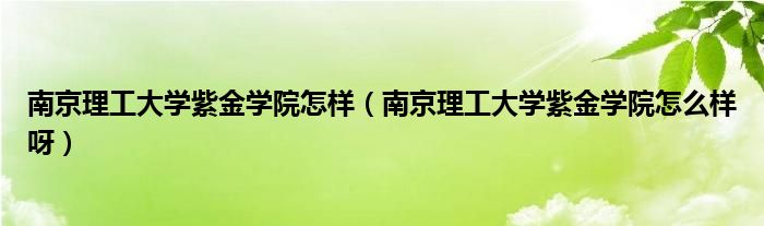 南京理工大学紫金学院怎么样呀(南京理工大学紫金学院怎样)