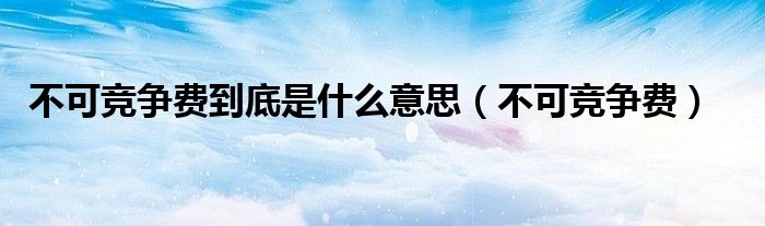 不可竞争费(不可竞争费到底是什么意思)