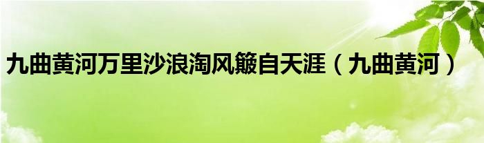 九曲黄河(九曲黄河万里沙浪淘风簸自天涯)