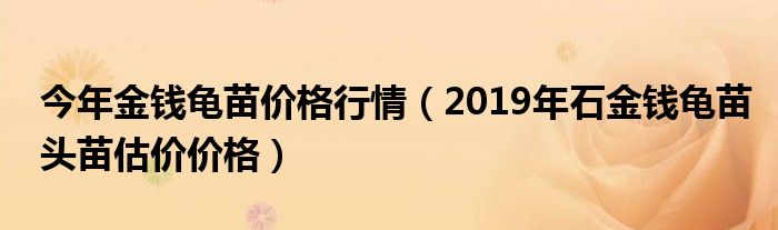2019年石金钱龟苗头苗估价价格(今年金钱龟苗价格行情)