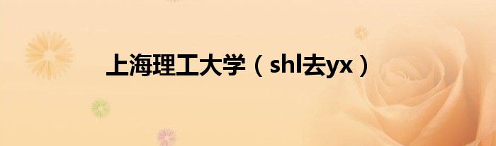 shl去yx(上海理工大学)