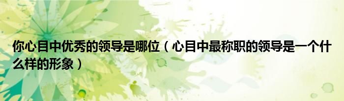 心目中最称职的领导是一个什么样的形象(你心目中优秀的领导是哪位)