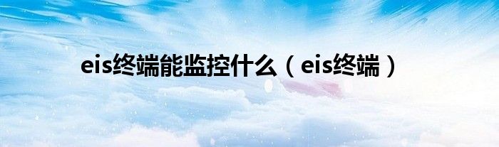 eis终端(eis终端能监控什么)