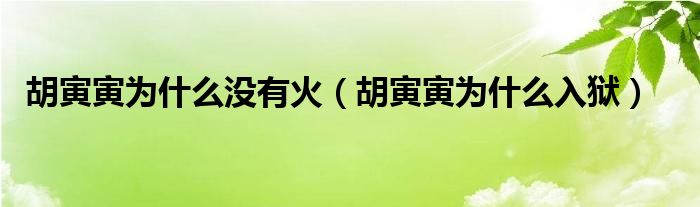 胡寅寅为什么入狱(胡寅寅为什么没有火)