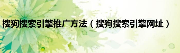 搜狗搜索引擎网址(搜狗搜索引擎推广方法)