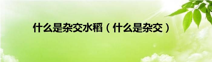 什么是杂交(什么是杂交水稻)