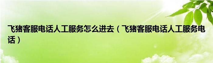 飞猪客服电话人工服务电话(飞猪客服电话人工服务怎么进去)