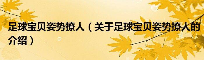 关于足球宝贝姿势撩人的介绍(足球宝贝姿势撩人)