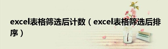 excel表格筛选后排序(excel表格筛选后计数)