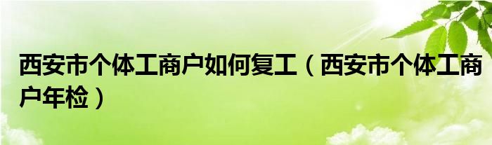 西安市个体工商户年检(西安市个体工商户如何复工)
