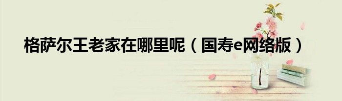 国寿e网络版(格萨尔王老家在哪里呢)