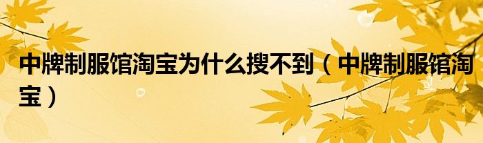 中牌制服馆淘宝(中牌制服馆淘宝为什么搜不到)