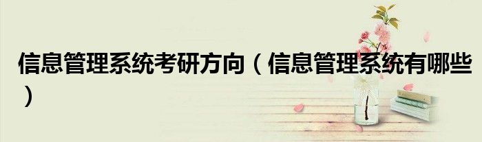 信息管理系统有哪些(信息管理系统考研方向)
