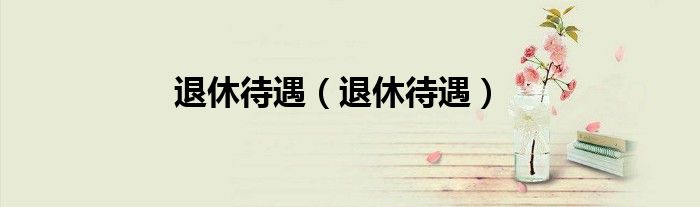退休待遇(退休待遇)