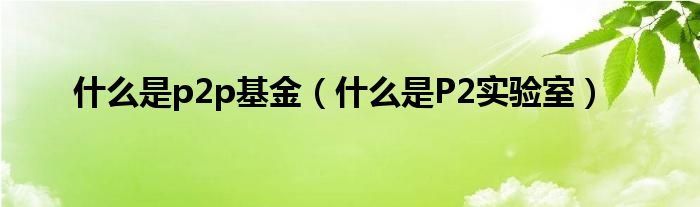 什么是P2实验室(什么是p2p基金)