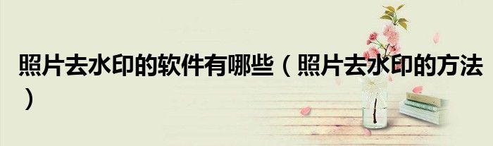 照片去水印的方法(照片去水印的软件有哪些)