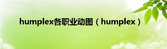 humplex(humplex各职业动图)