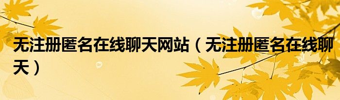 无注册匿名在线聊天(无注册匿名在线聊天网站)