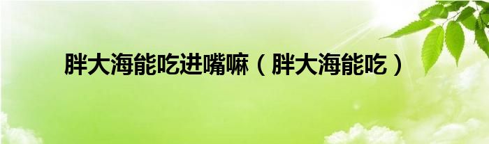 胖大海能吃(胖大海能吃进嘴嘛)