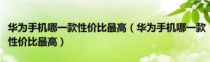 华为手机哪一款性价比最高(华为手机哪一款性价比最高)