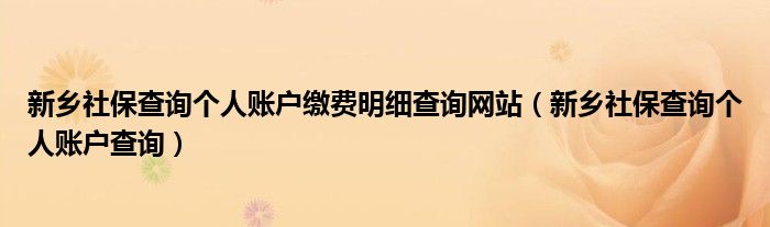 新乡社保查询个人账户查询(新乡社保查询个人账户缴费明细查询网站)